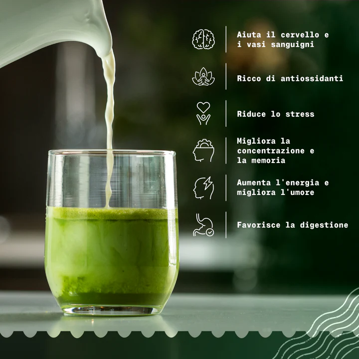 Té Verde Matcha Grado Premium de Semilla Japonese - 100 gr.