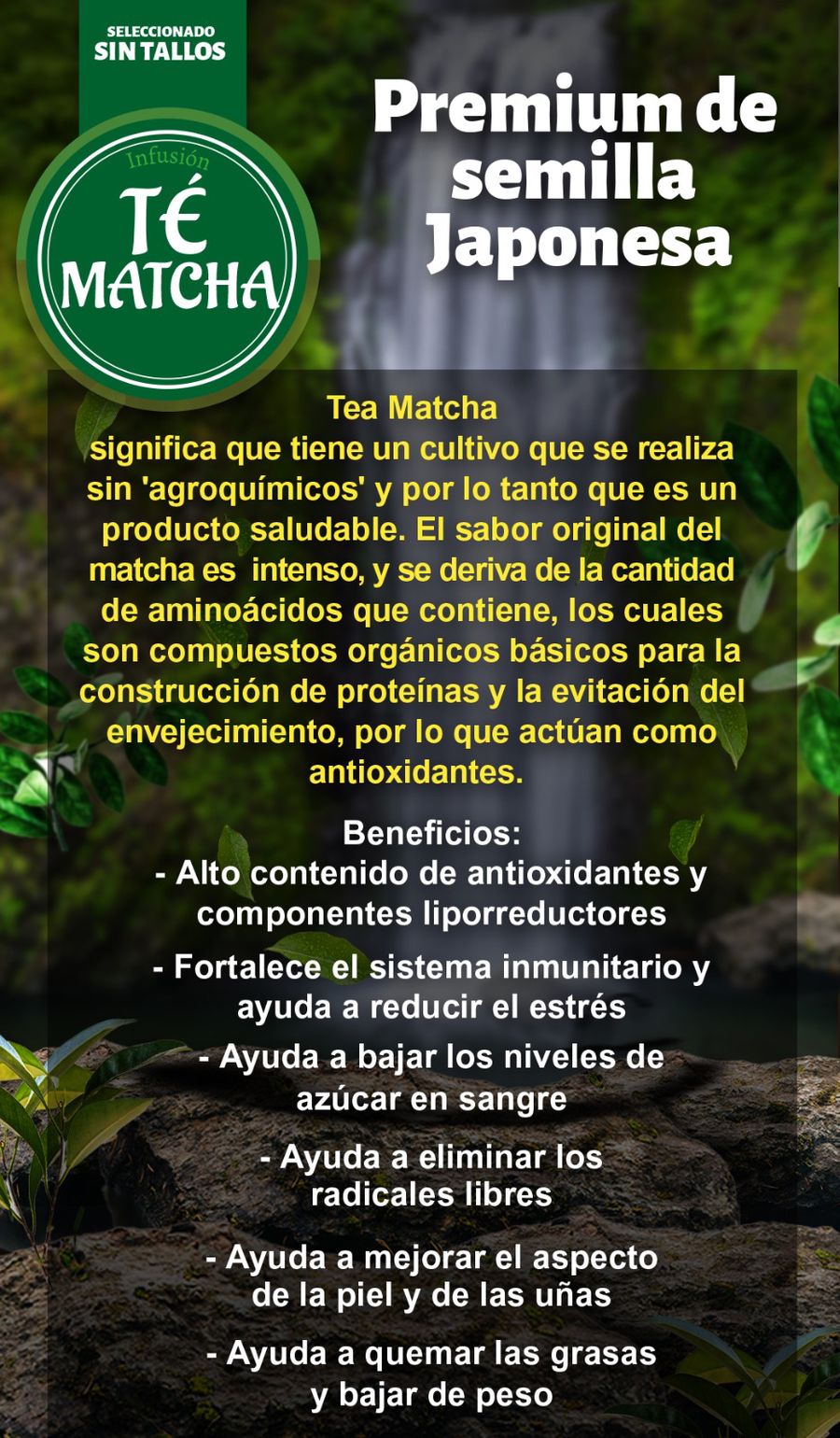 Té Verde Matcha Grado Premium de Semilla Japonese - 100 gr.