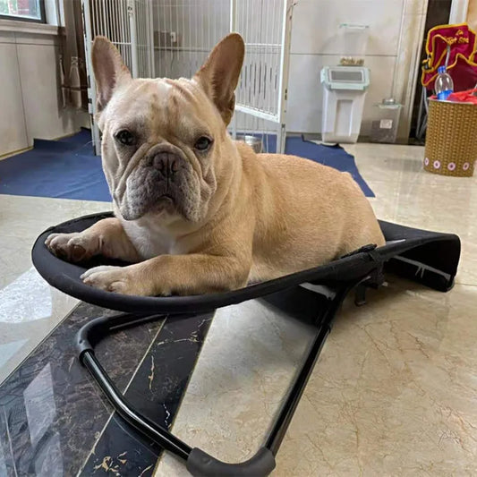 Silla Mecedora PetEase - Confort ajustable, plegable y transpirable para mascotas.