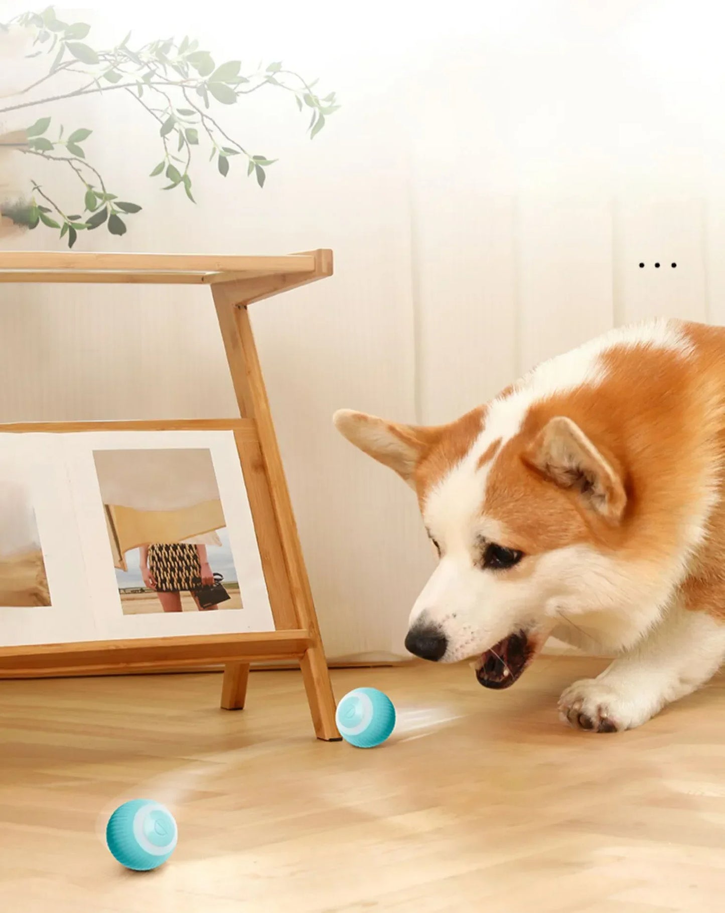 Pelota Mágica diversión y tecnología para tu mascota