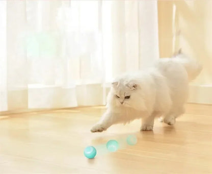 Pelota Mágica diversión y tecnología para tu mascota