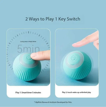 Pelota Mágica diversión y tecnología para tu mascota