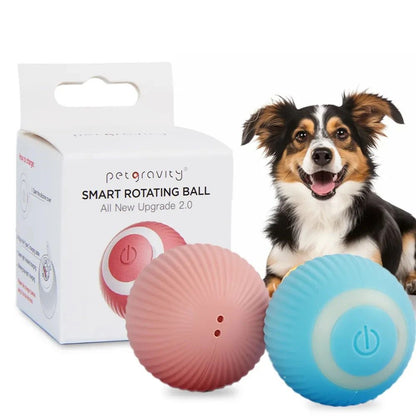 Pelota Mágica diversión y tecnología para tu mascota