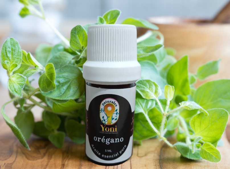 Aceite esencial Oregano - 100 % puro, 5 ml