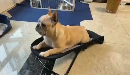 Silla Mecedora PetEase - Confort ajustable, plegable y transpirable para mascotas.